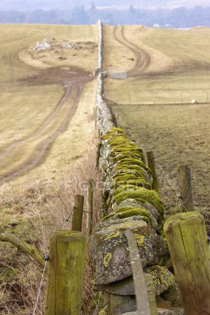 Каменный забор с мохом — стоковое фото