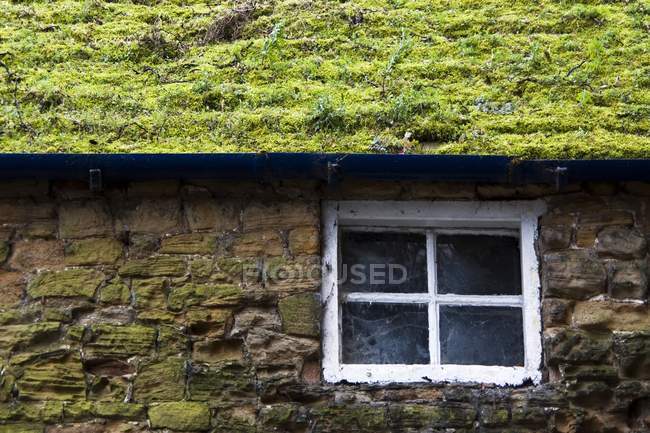Chalet avec toit herbeux — Photo de stock