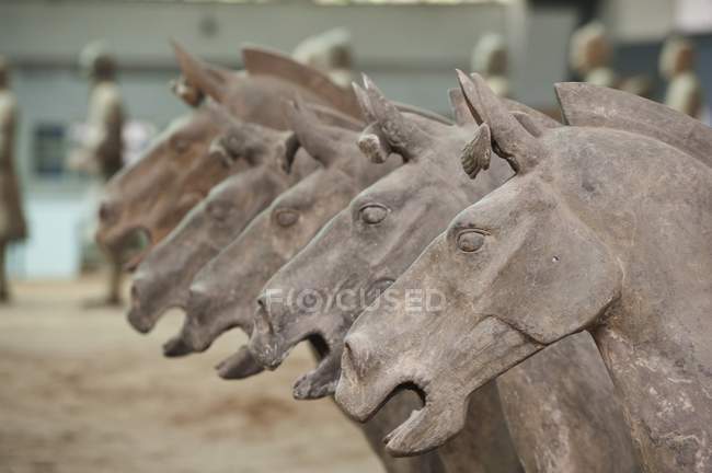 Коні з Теракотова армія — стокове фото
