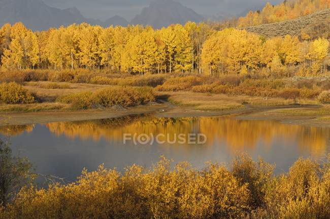 Бассейн в реке Снейк — стоковое фото