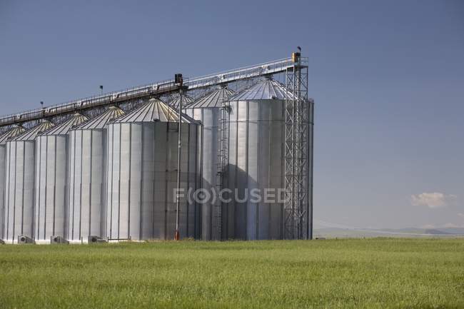 Grands bacs de stockage de grain — Photo de stock