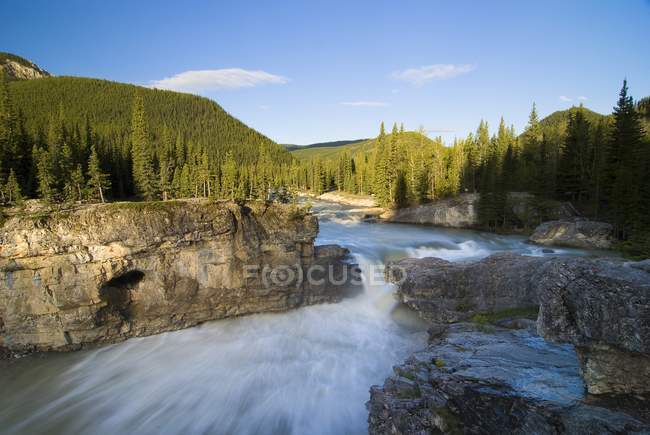 Waterfall over trees — Stock Photo
