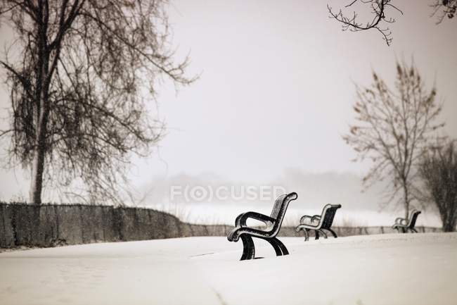 Скамейки вдоль тропы в снегу — стоковое фото