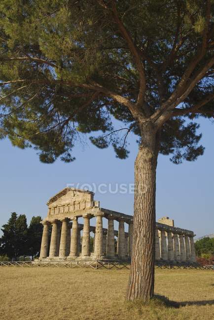 Храм Афіни в Італії — стокове фото