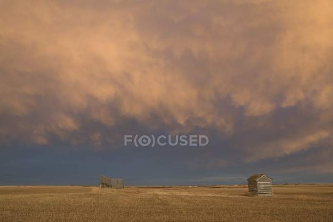 Cabane en bois sur le terrain — Photo de stock