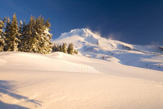 Paisaje de invierno en Mount Hood - foto de stock