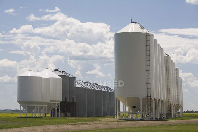 Rows Of Grain Bins — Stock Photo