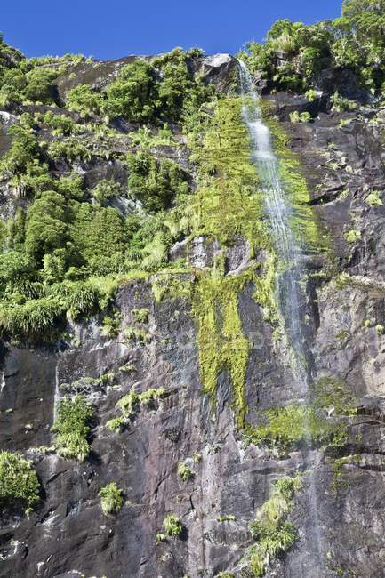 Водоспад у Milford Sound — стокове фото