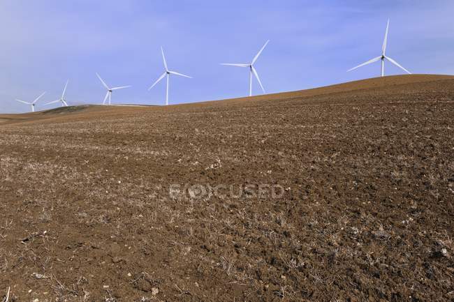 Turbinas eólicas em campo vazio — Fotografia de Stock