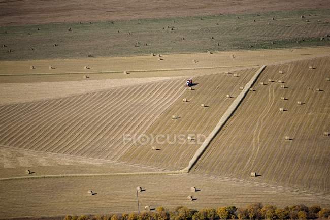 Field With Hay Bales — Stock Photo