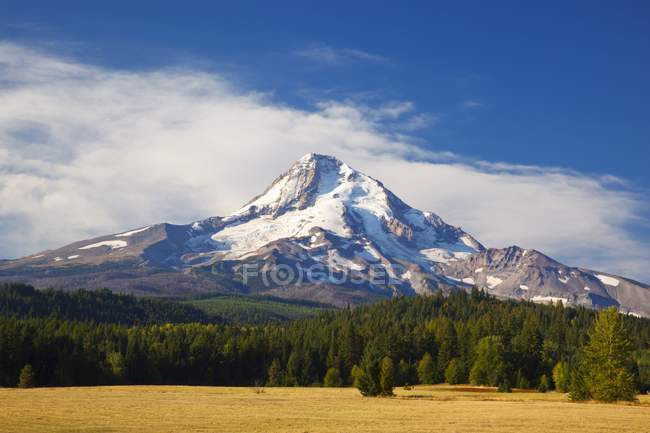 Mount Hood with filed — Stock Photo