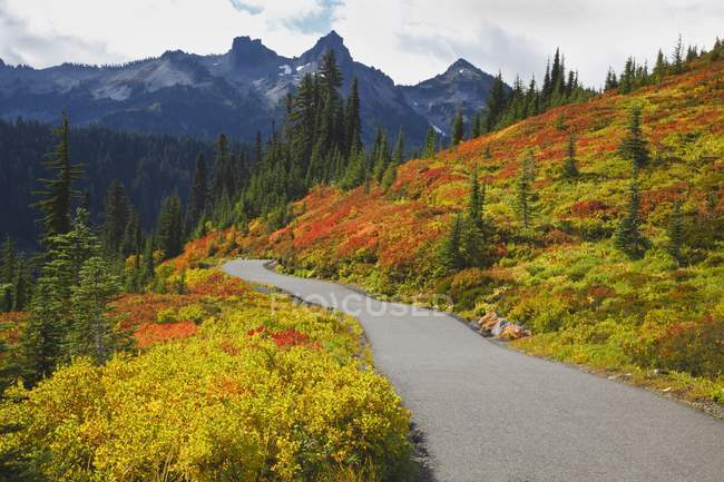 Colores de otoño y sendero en las montañas Tatoosh — Stock Photo