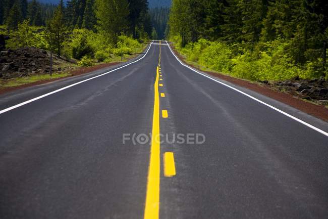 Estrada arborizada — Fotografia de Stock