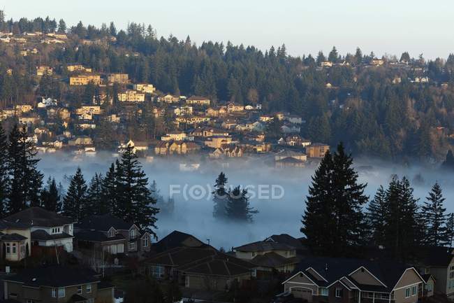 Ранковий туман над будинків — стокове фото