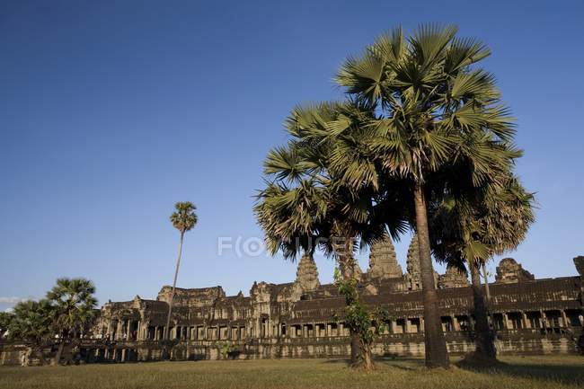 Храм Ангкор-Ват — стокове фото