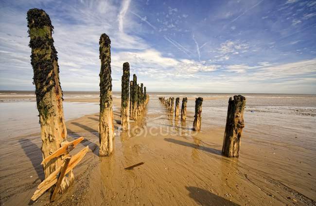 Puestos de madera en la playa de arena - foto de stock