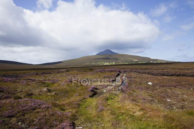 Blick auf irisches Moor — Stockfoto