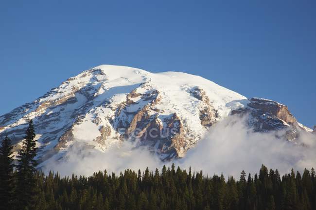 Monte Rainier contro un cielo blu — Foto stock