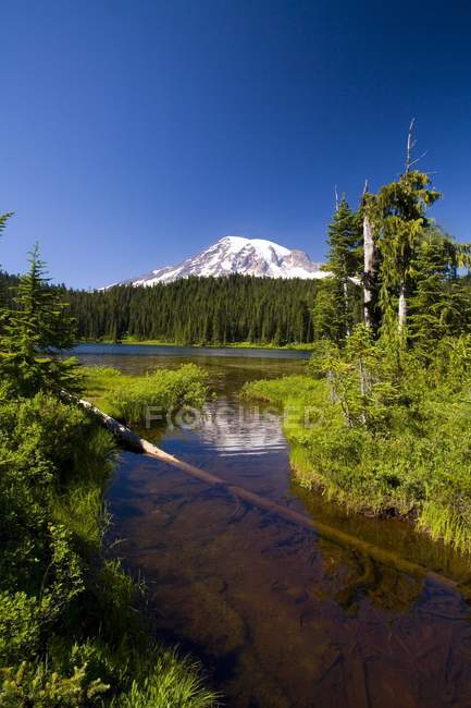 Lake, Mount Rainier, Washington, Estados Unidos de América - foto de stock