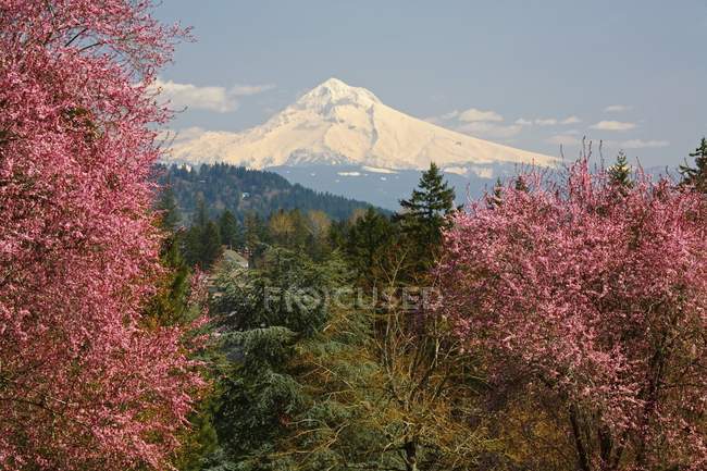 Happy Valley, Oregon - foto de stock