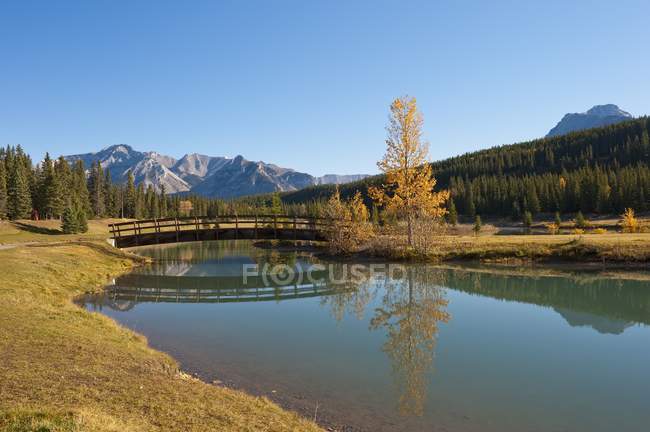 Footbridge At Cascade Ponds — Stock Photo