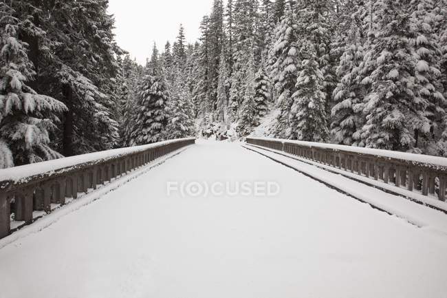 Nieve fresca a lo largo del camino - foto de stock