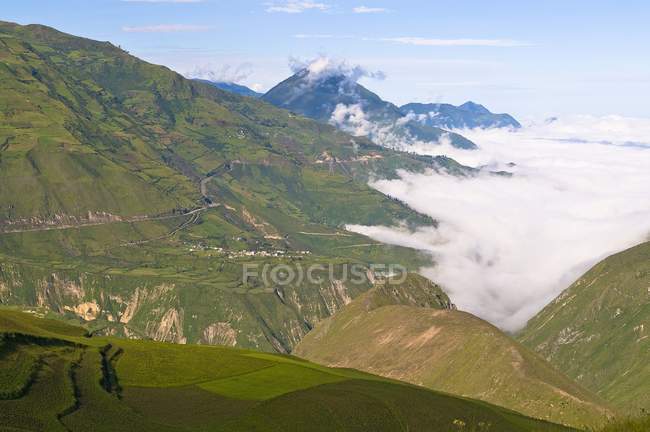 Hills with green grass — Stock Photo