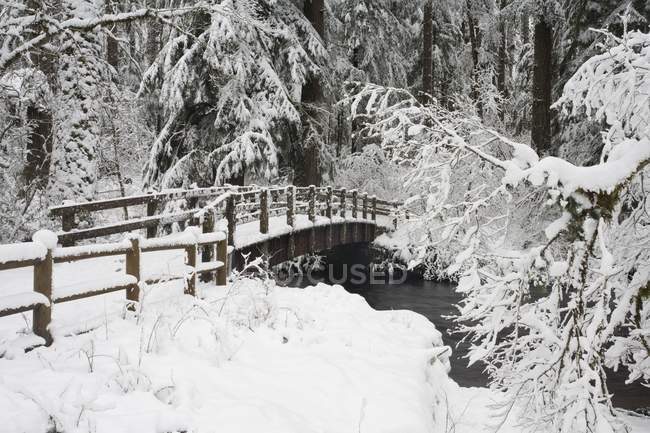 Сніг накривав мосту в срібло водоспаду — стокове фото
