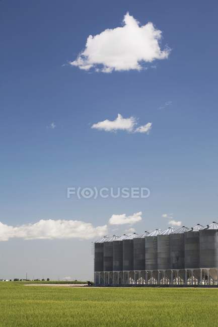 Металлические зерновые контейнеры — стоковое фото