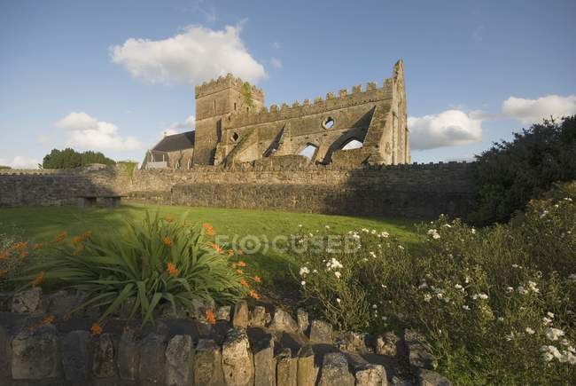 Ruins Of  Church on green field — Stock Photo