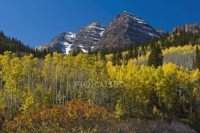 White River National Forest — Stock Photo