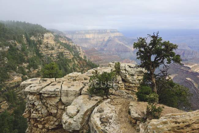 Nebliger Morgen im Grand Canyon — Stockfoto