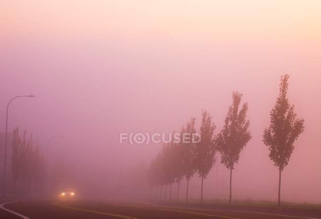 Автомобиль на сельском шоссе в тумане — стоковое фото