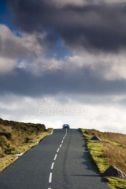 Road with car and plants — Stock Photo
