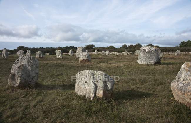 Pedras no campo de grama verde — Fotografia de Stock