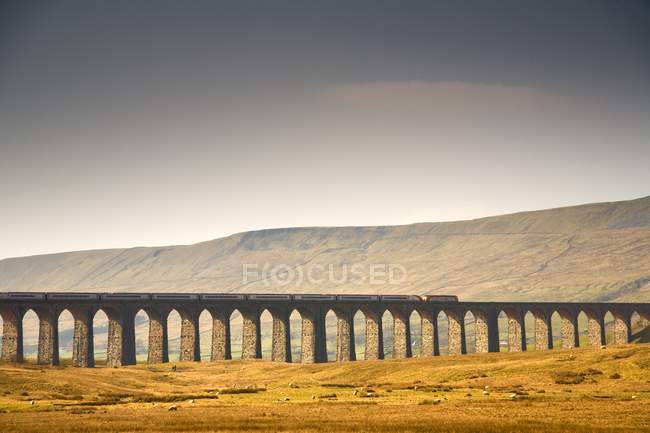 Zug und Brücke, yorkshire dales, — Stockfoto