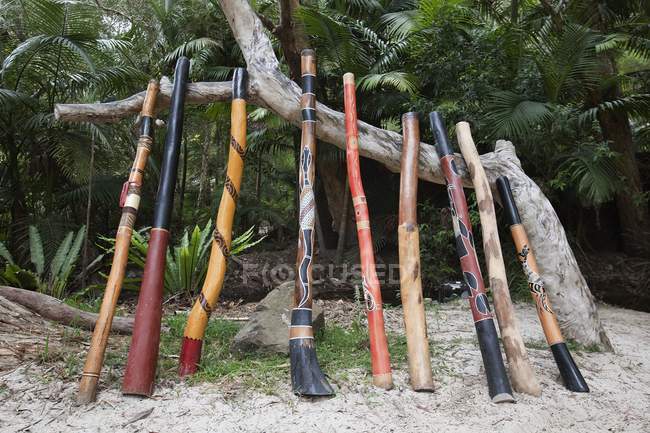 Varietà di Didgeridoo allineato — Foto stock
