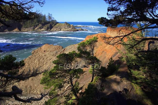 Rock Formations At Shore Acres State Park — Stock Photo