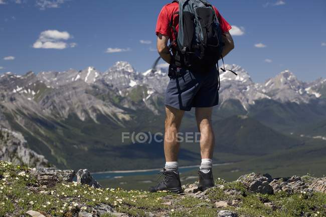 Caminhante masculino em pé no topo — Fotografia de Stock