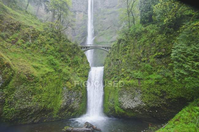Oregon, Stati Uniti d'America — Foto stock