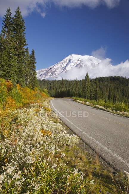 Estrada em Mt. Parque Nacional Rainier — Fotografia de Stock