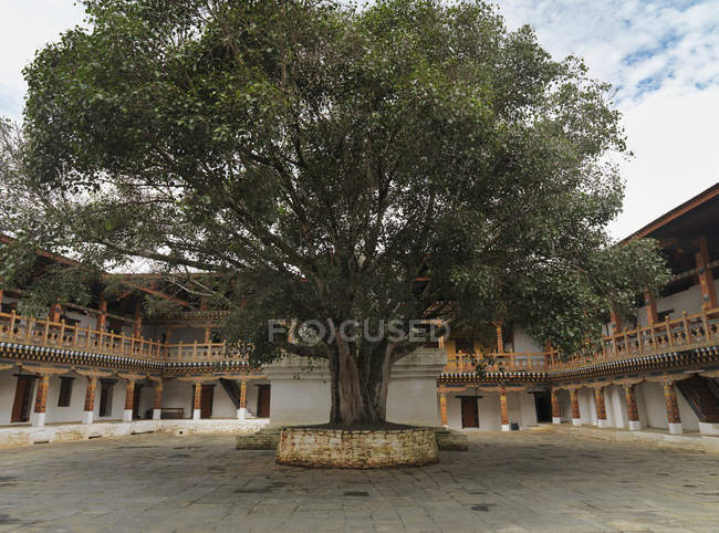 Courtyard Of The Punakha Dzong — Stock Photo