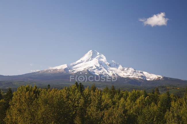 View Of Mount Hood — Stock Photo