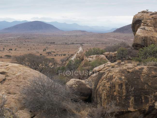 African Landscape with field — Stock Photo
