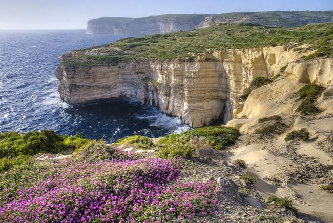 Скалы вдоль океана с полевыми цветами — стоковое фото