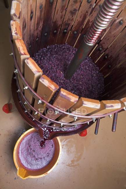 Imprensa de uva com suco de uva vermelha — Fotografia de Stock