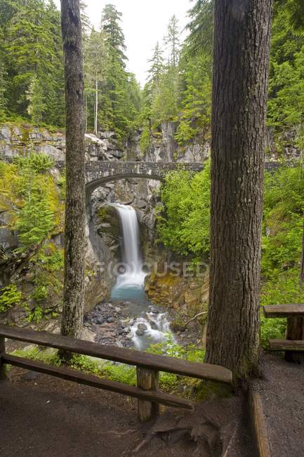 Parque Nacional Monte Rainier - foto de stock