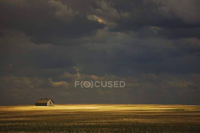 Старый амбар в поле — стоковое фото