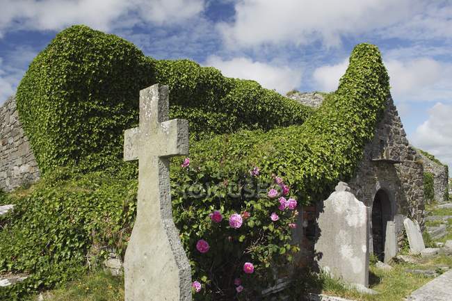 Ruines de l'église Kilmacreehy — Photo de stock