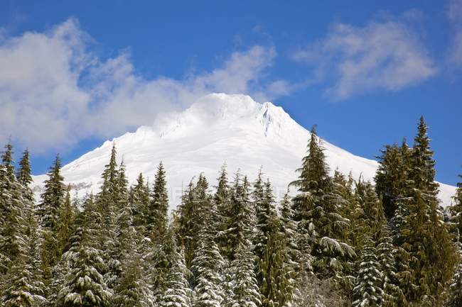 Mount Hood покриті снігом — стокове фото